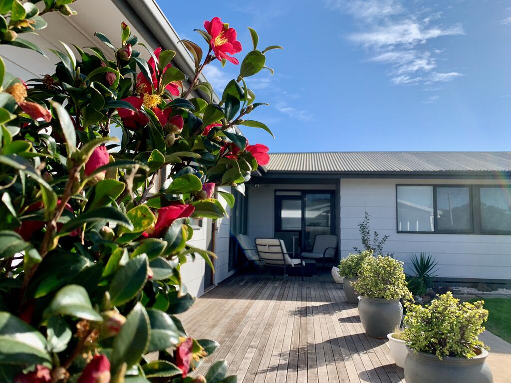 Homely Getaways in Surf Beach - Pet Friendly - New South Wales Tourism 