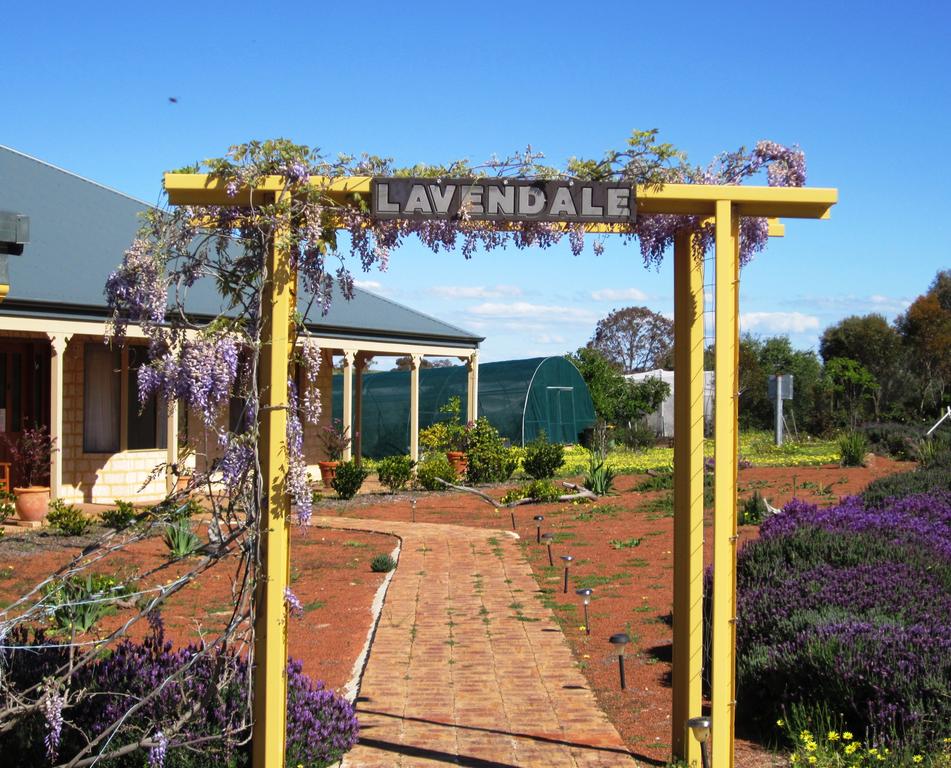 Lavendale Farmstay and Cottages York - New South Wales Tourism 