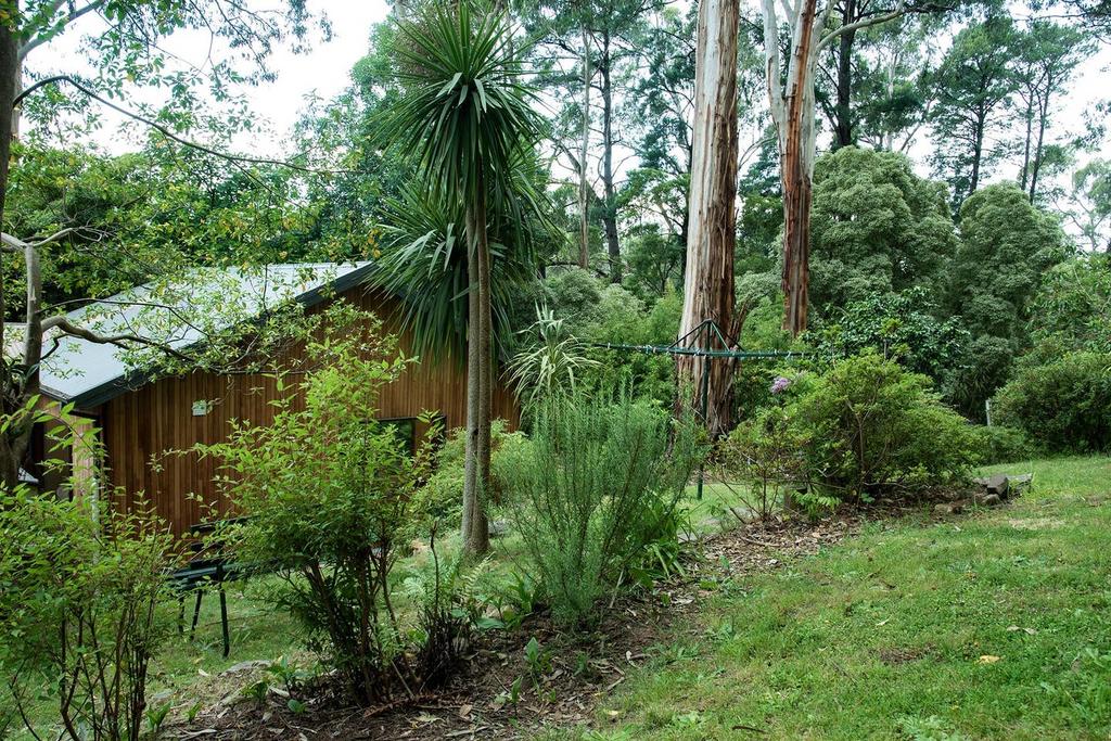 Luxury Forest Retreat - Puffing Billy - thumb 2