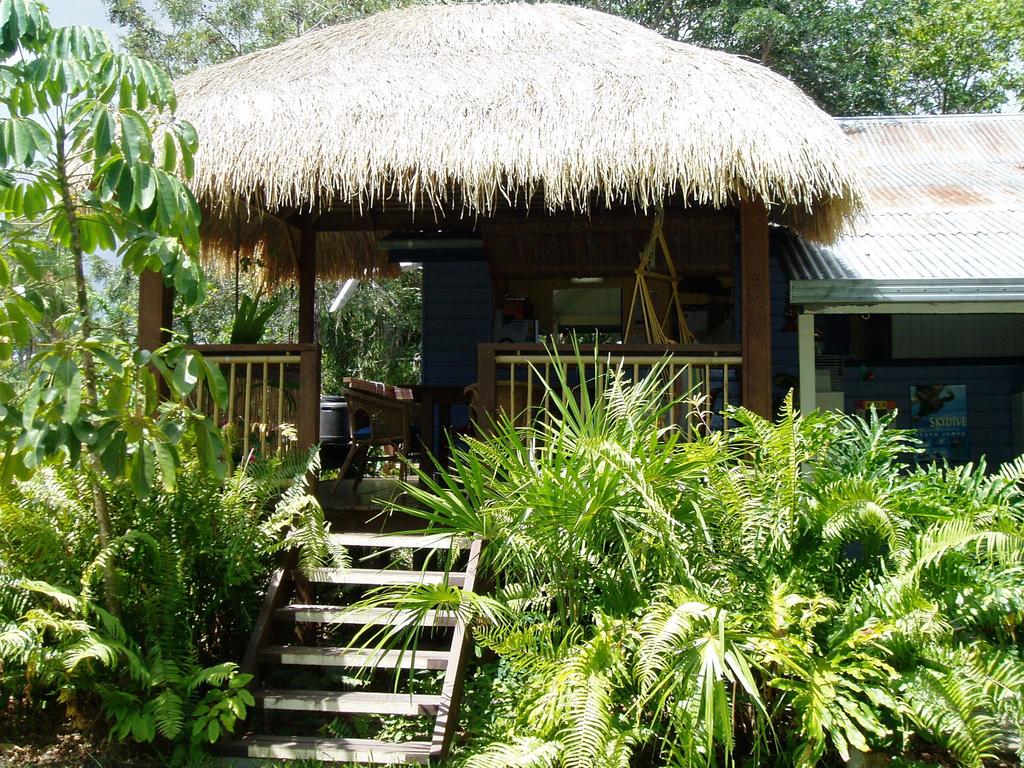 Mango Tourist Hostel - Hervey Bay Accommodation 0