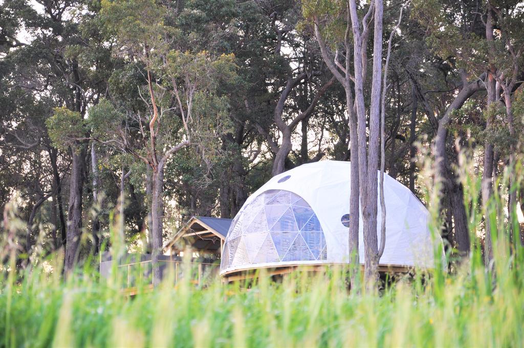 Mile End Glamping Pty Ltd - thumb 2