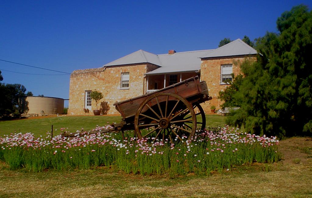 Mt Pleasant Holiday Homestead - New South Wales Tourism 