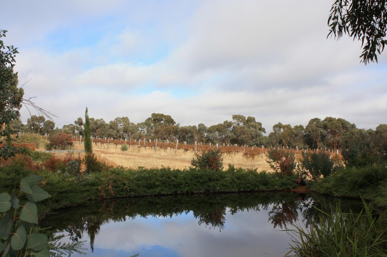 Hotham Ridge Winery And Cottages - thumb 27