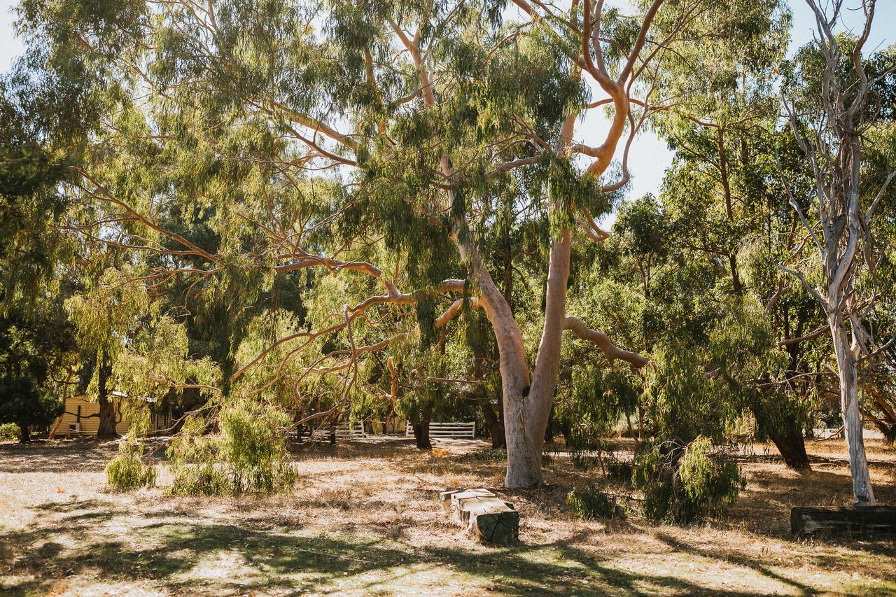 Margaret River Holiday Cottages - thumb 16