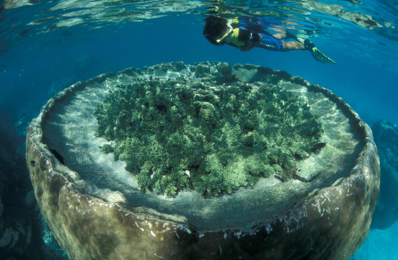 Sal Salis Ningaloo Reef - thumb 8