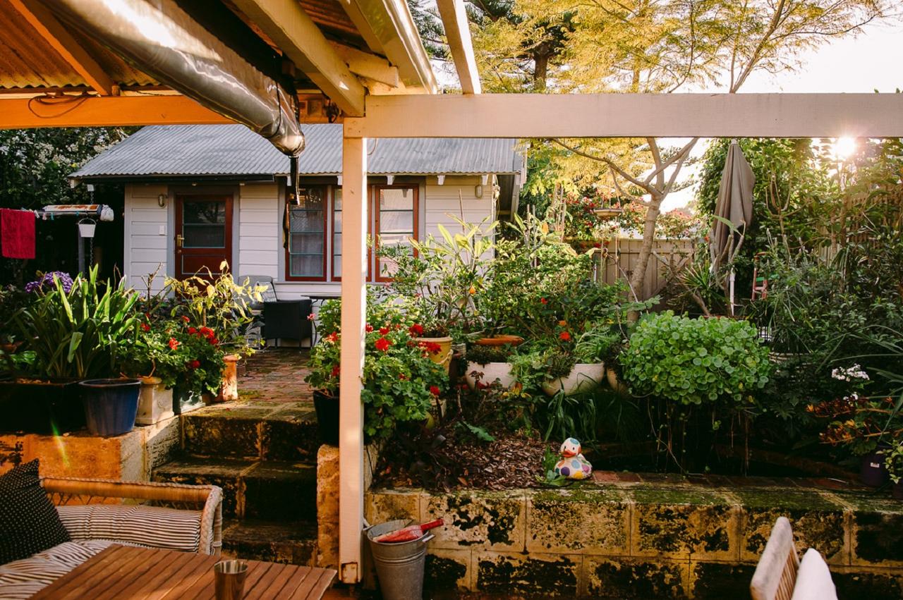 Garden Studio In Cottesloe - thumb 6