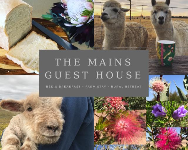 The Mains Guest House - Geraldton Accommodation