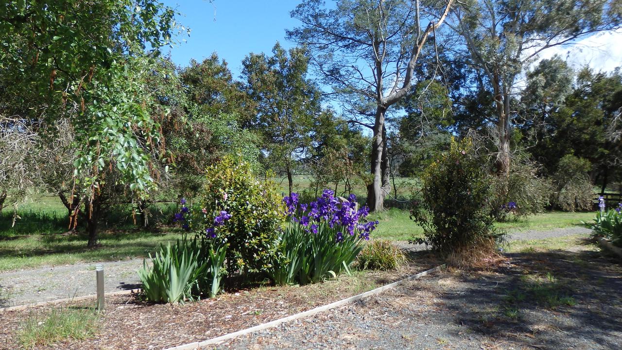 Karoola Cottage Self Contained - Accommodation BNB 19