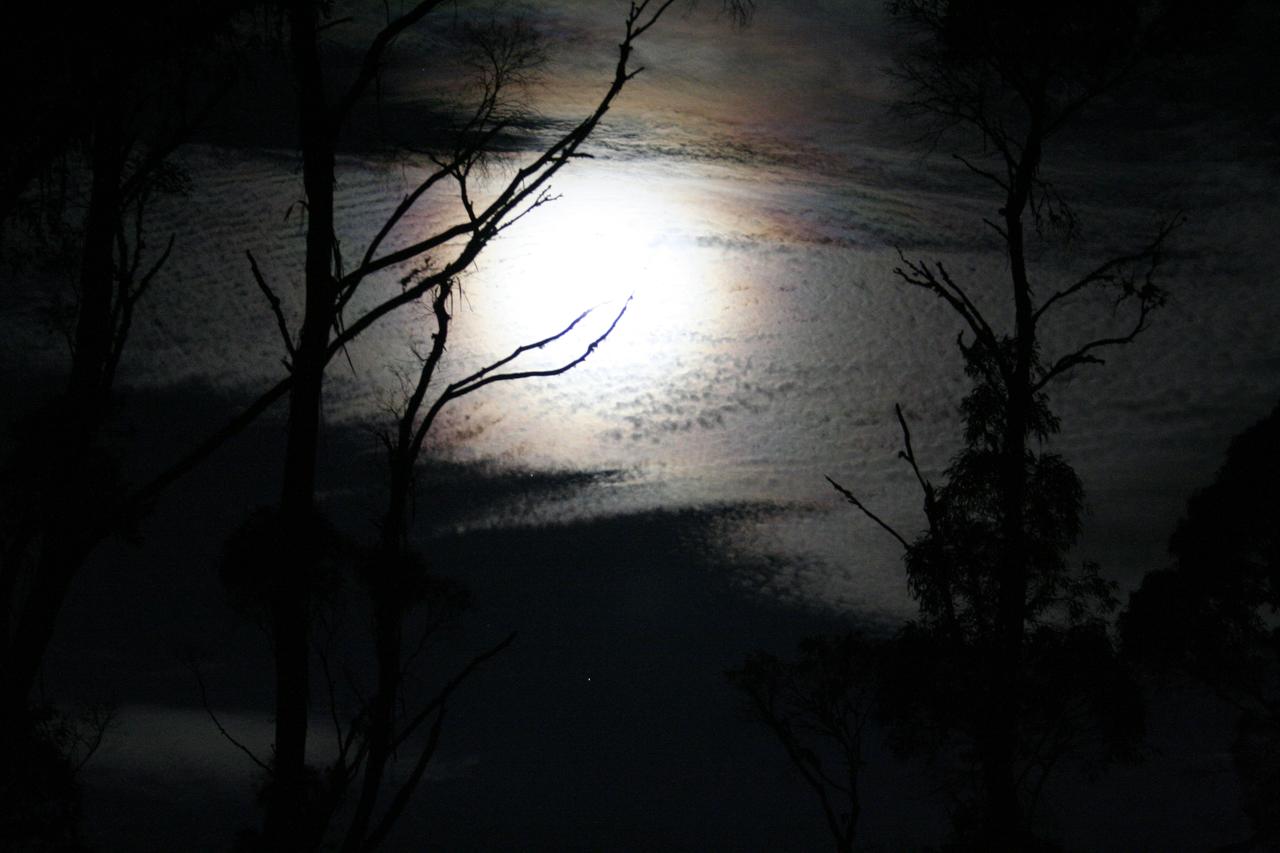 Cradle Mountain Love Shack - thumb 12