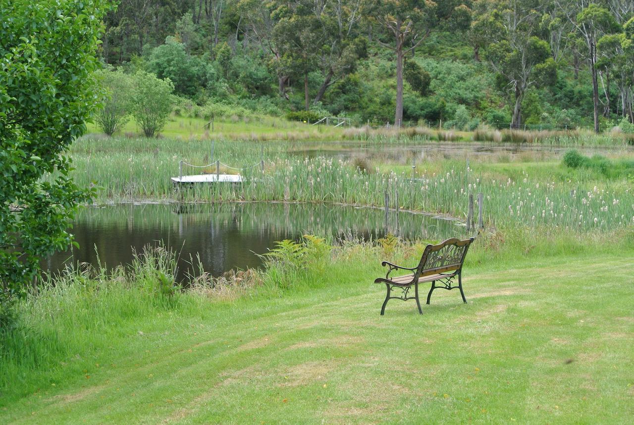 Hamlet Downs Country Accommodation - Accommodation Bookings