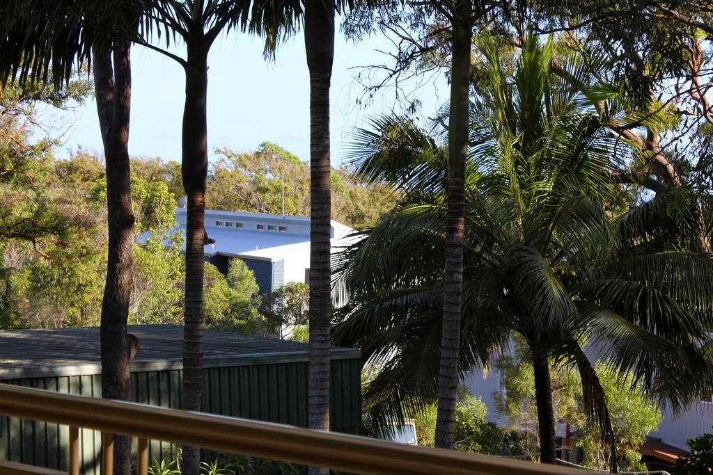 Orchid Beach Apartments - Accommodation Daintree