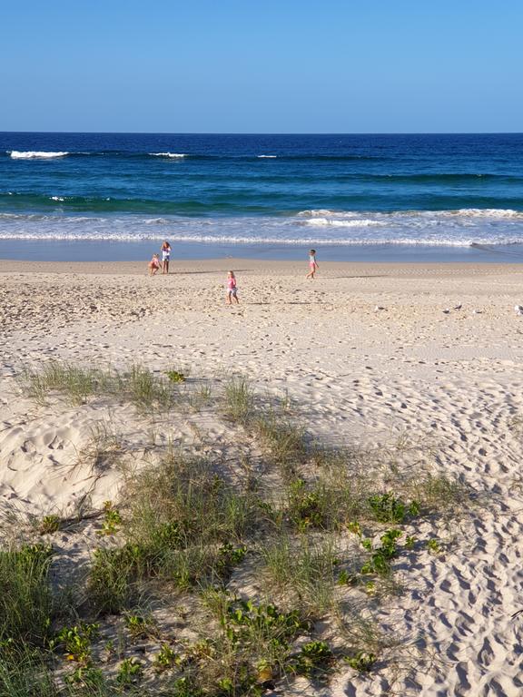 Palmy Sea Breeze - New South Wales Tourism 
