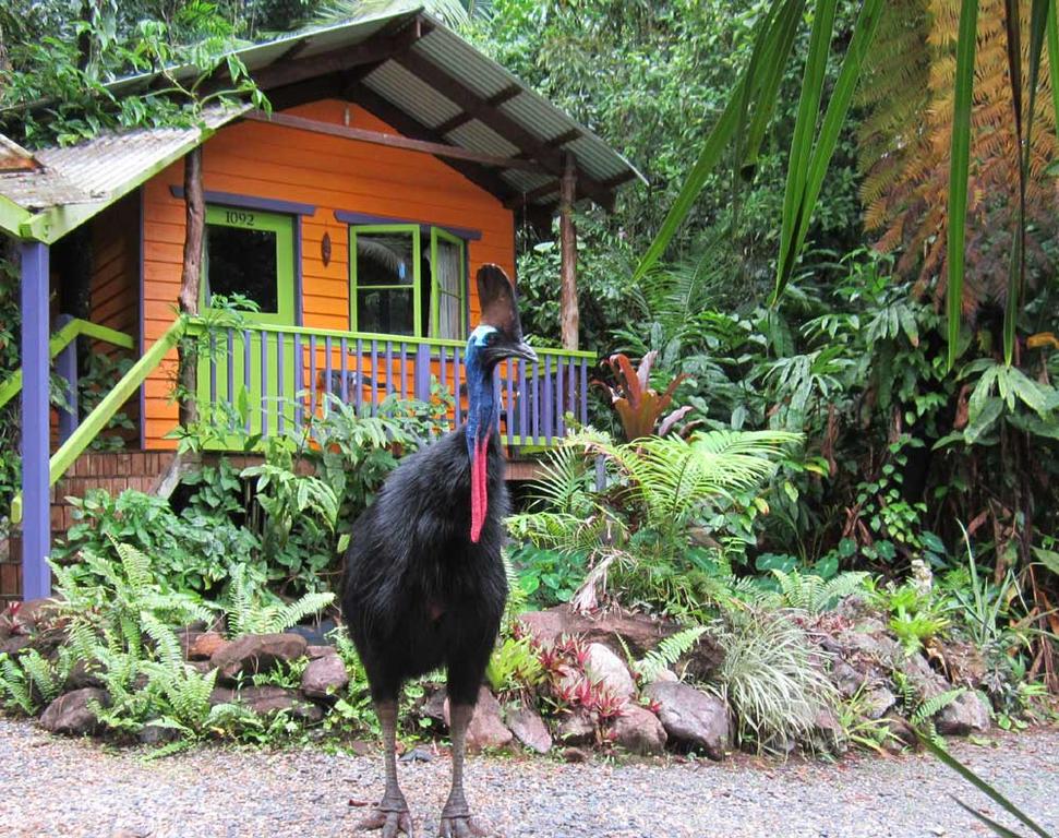 Rainforest Hideaway - Accommodation BNB