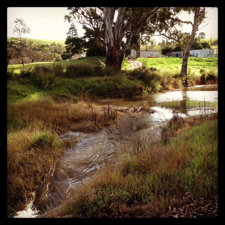 River Cottage Barossa -Self Contained-30 Acres-360 Degree Views-Netflix -Wine-Wifi - thumb 3