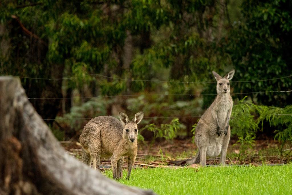 Secura Lifestyle Countryside Kalaru - South Australia Travel