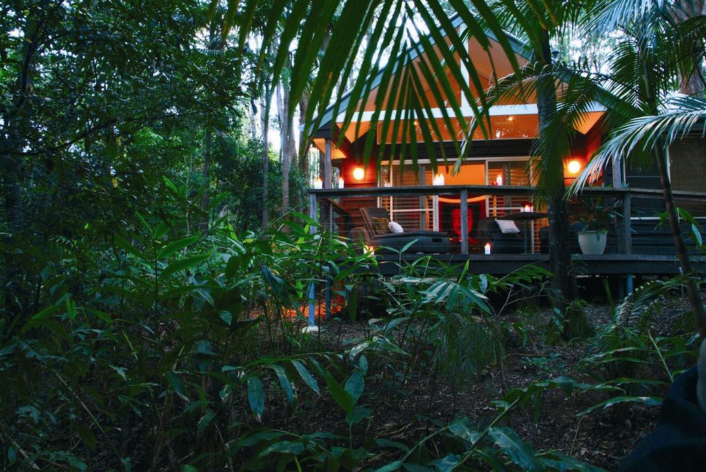 Songbirds Rainforest Retreat - Accommodation Redcliffe