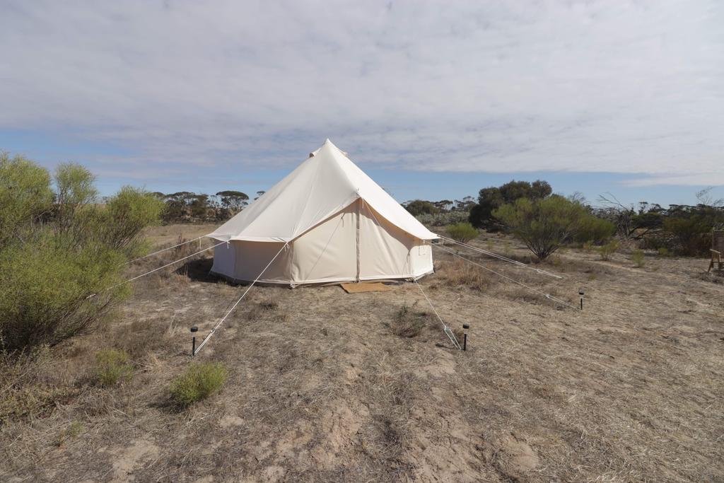 Starfields Luxury Camping - Accommodation Main Beach 1