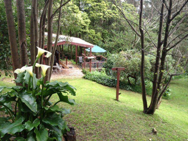 Stone's Throw Cottage Bed and Breakfast - New South Wales Tourism 