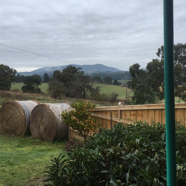 Sunset Cottage - Yarra Valley - thumb 3