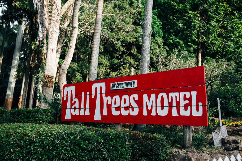 Tall Trees Motel Mountain Retreat - thumb 0