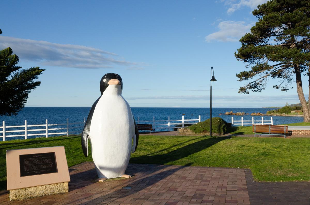 Penguin Beach House - thumb 16
