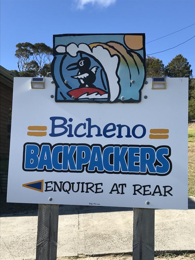 Bicheno Backpackers - thumb 4