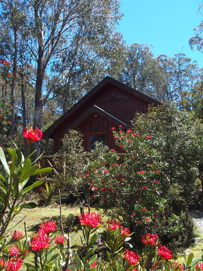 Cradle Mountain Highlanders - Accommodation Bookings