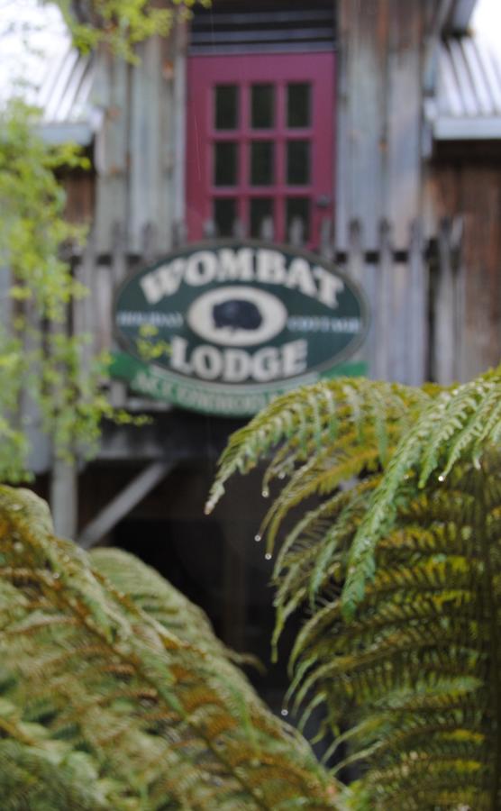 The Wombat Lodge - Accommodation Adelaide