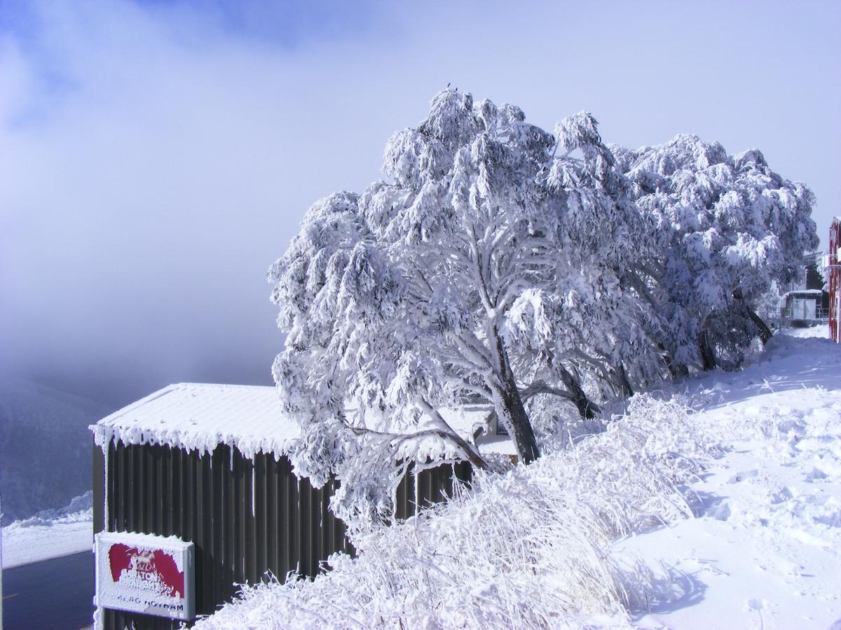 Arlberg Hotham - thumb 15