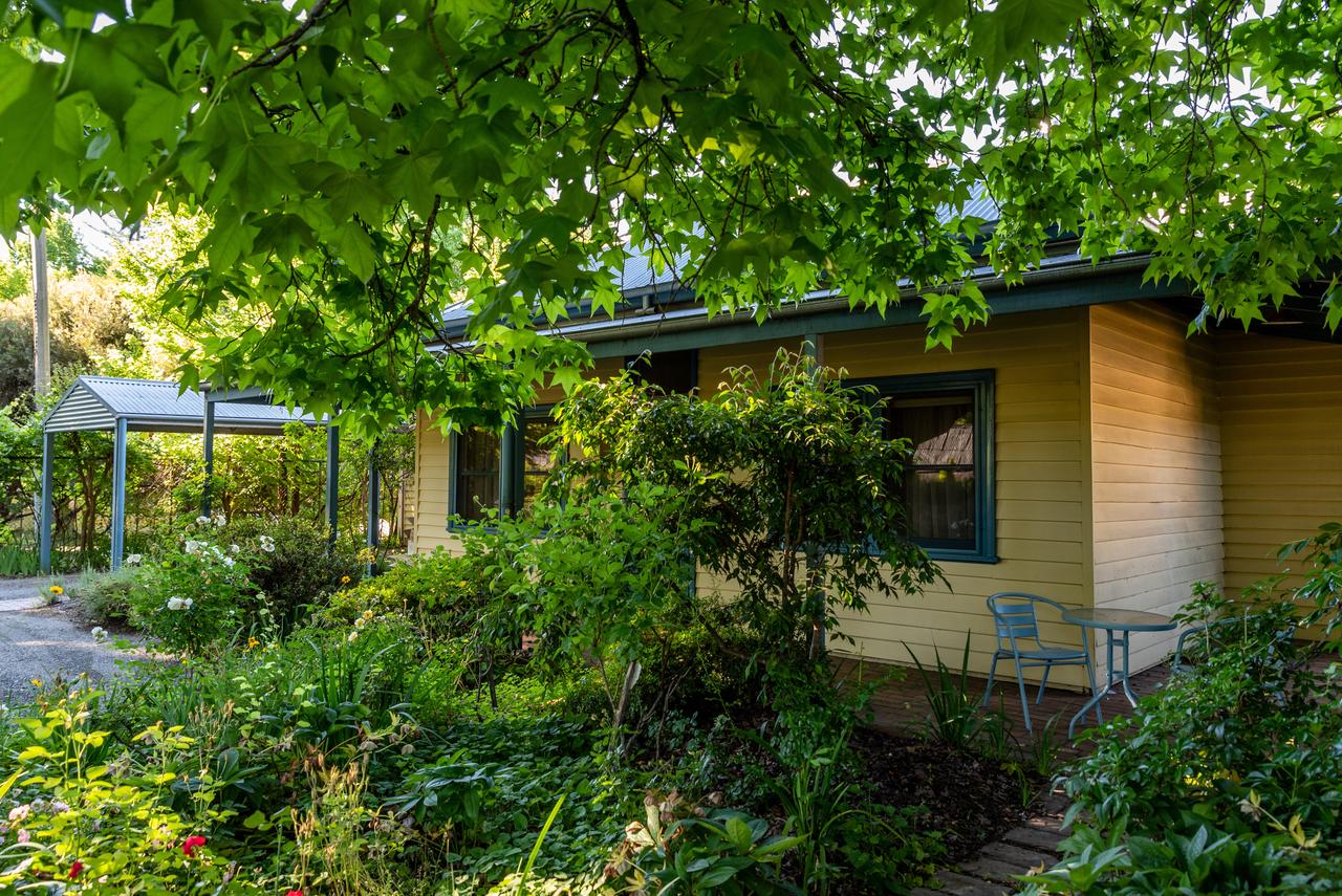 The Orchard House - Accommodation in Bendigo