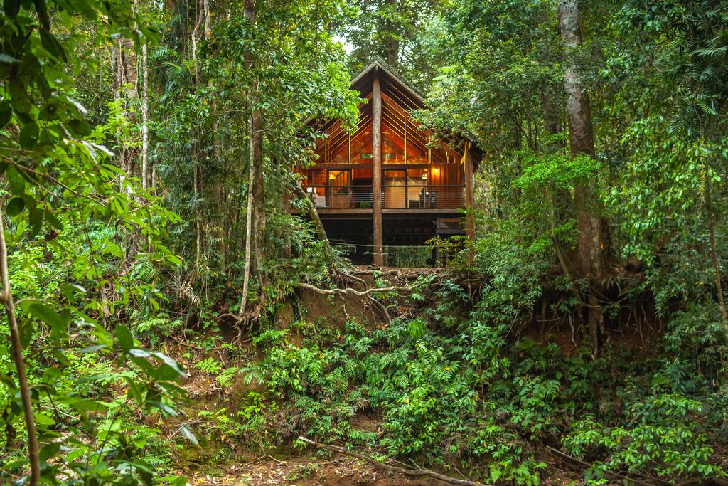 The Canopy Rainforest Treehouses & Wildlife Sanctuary - thumb 2