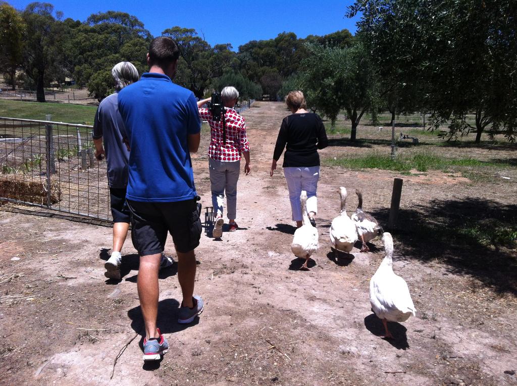 The Farm Willunga - thumb 1