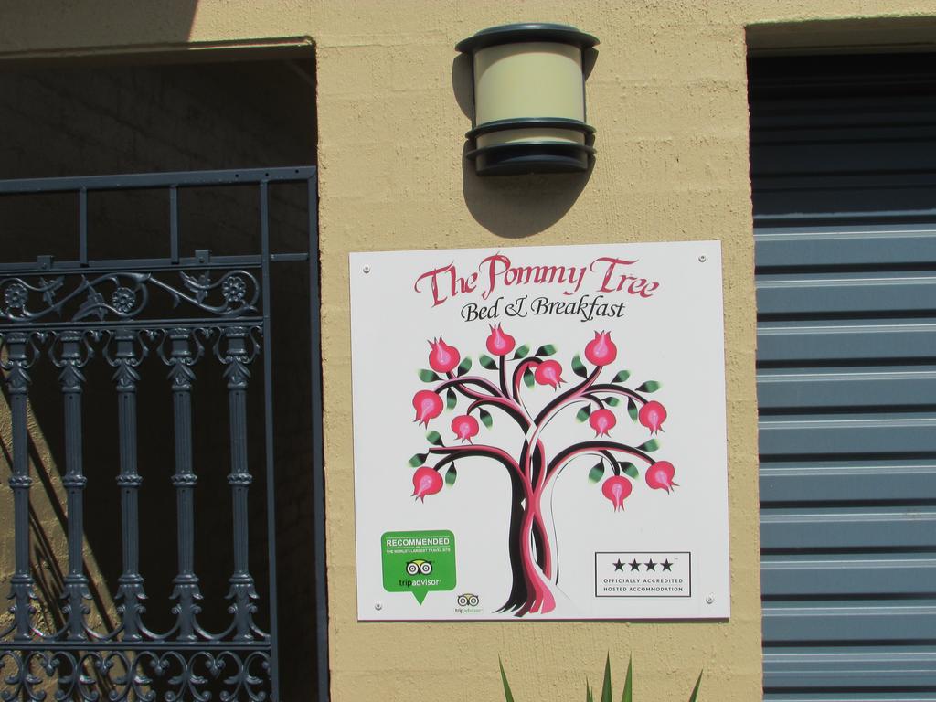 The Pommy Tree - thumb 1