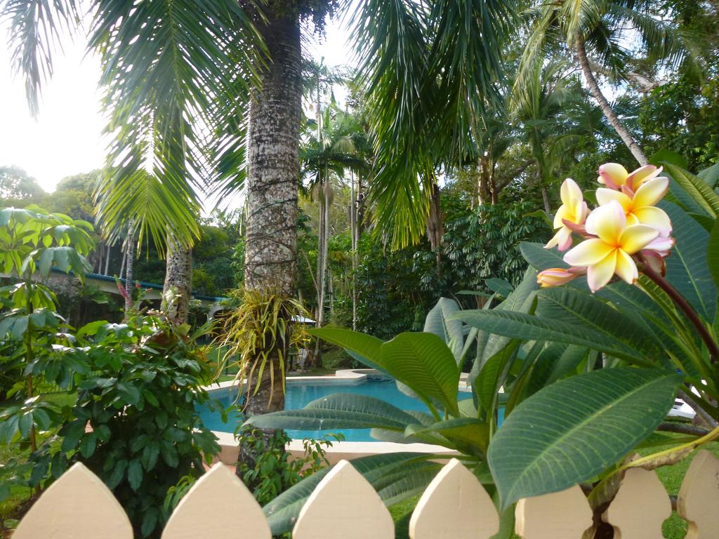 Villa Marine Holiday Apartments Cairns - thumb 1