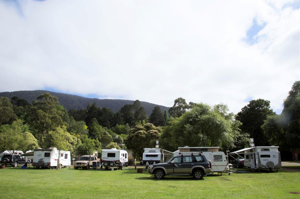 Warburton Holiday Park - New South Wales Tourism 