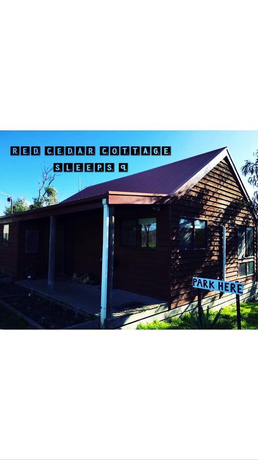 Red ceder cottage - Great ocean road - Port Campbell - Accommodation Daintree