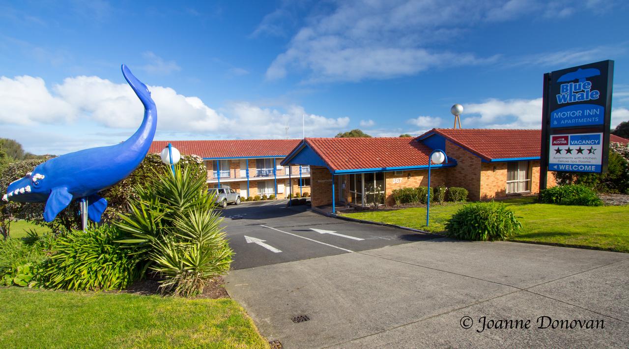 Blue Whale Motor Inn  Apartments - New South Wales Tourism 