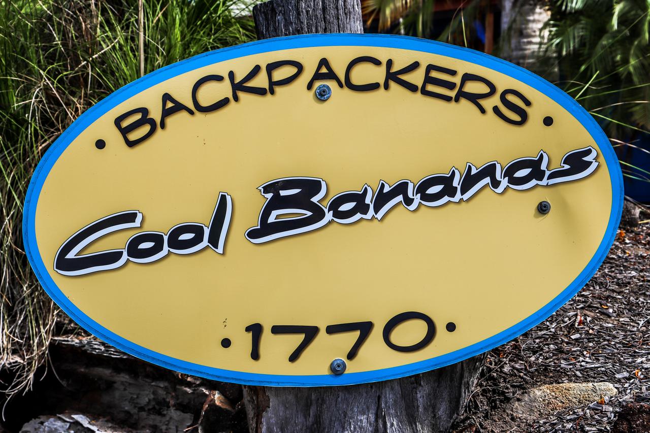 Cool Bananas Backpackers - thumb 38