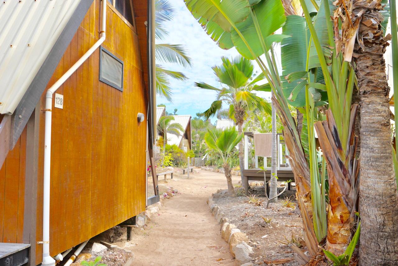 Base Backpackers Magnetic Island - thumb 26