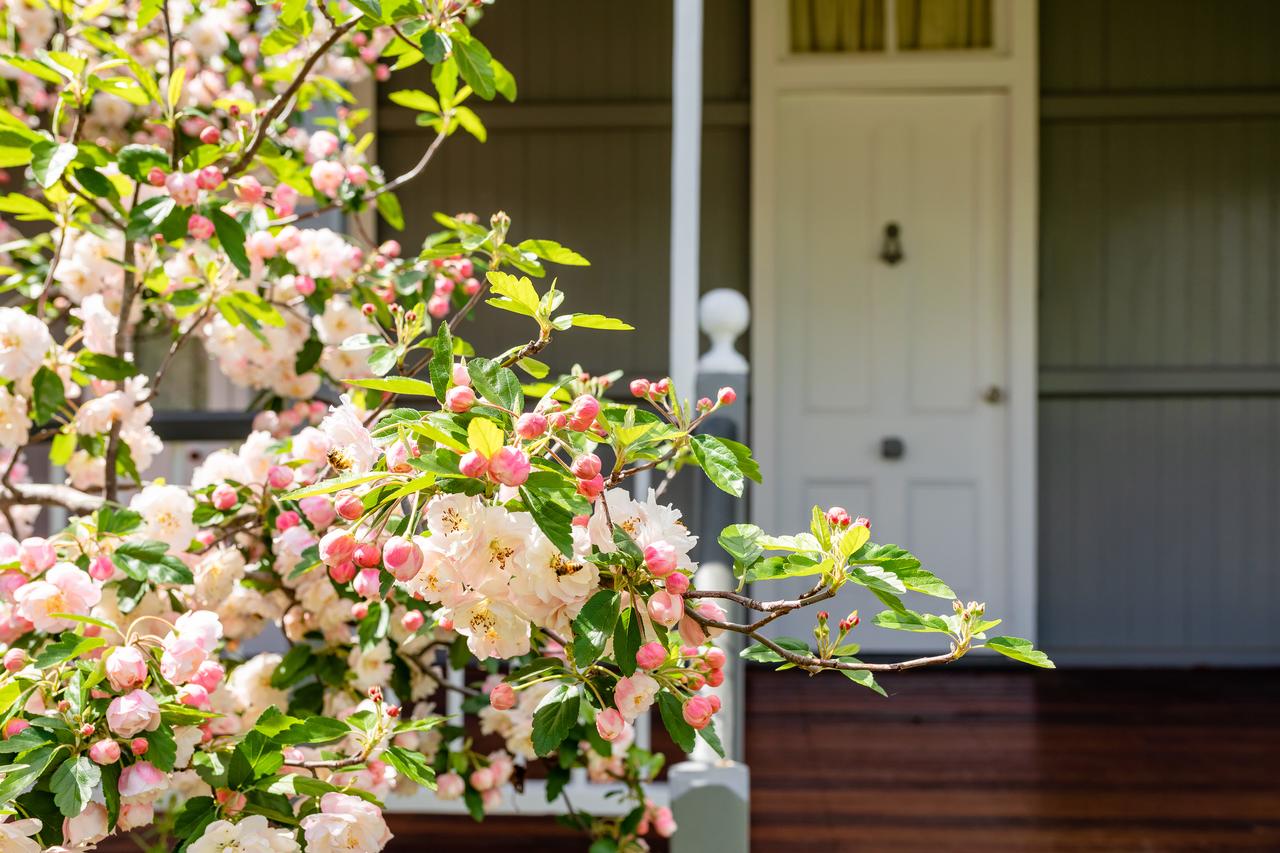 Apple Blossom Cottage - thumb 2