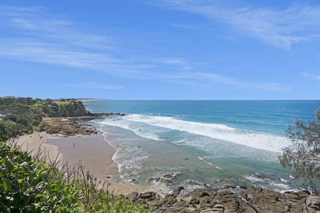 Pandanus Coolum Beach - thumb 13