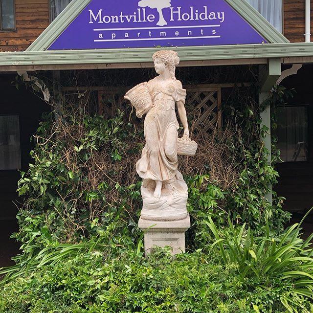 Montville Holiday Apartments - thumb 6