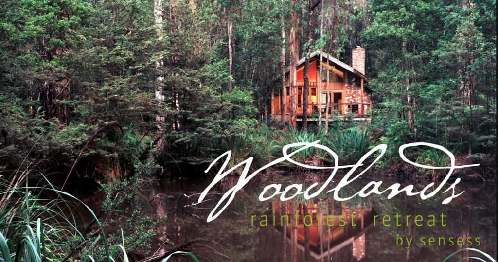Woodlands Rainforest Retreat - New South Wales Tourism 