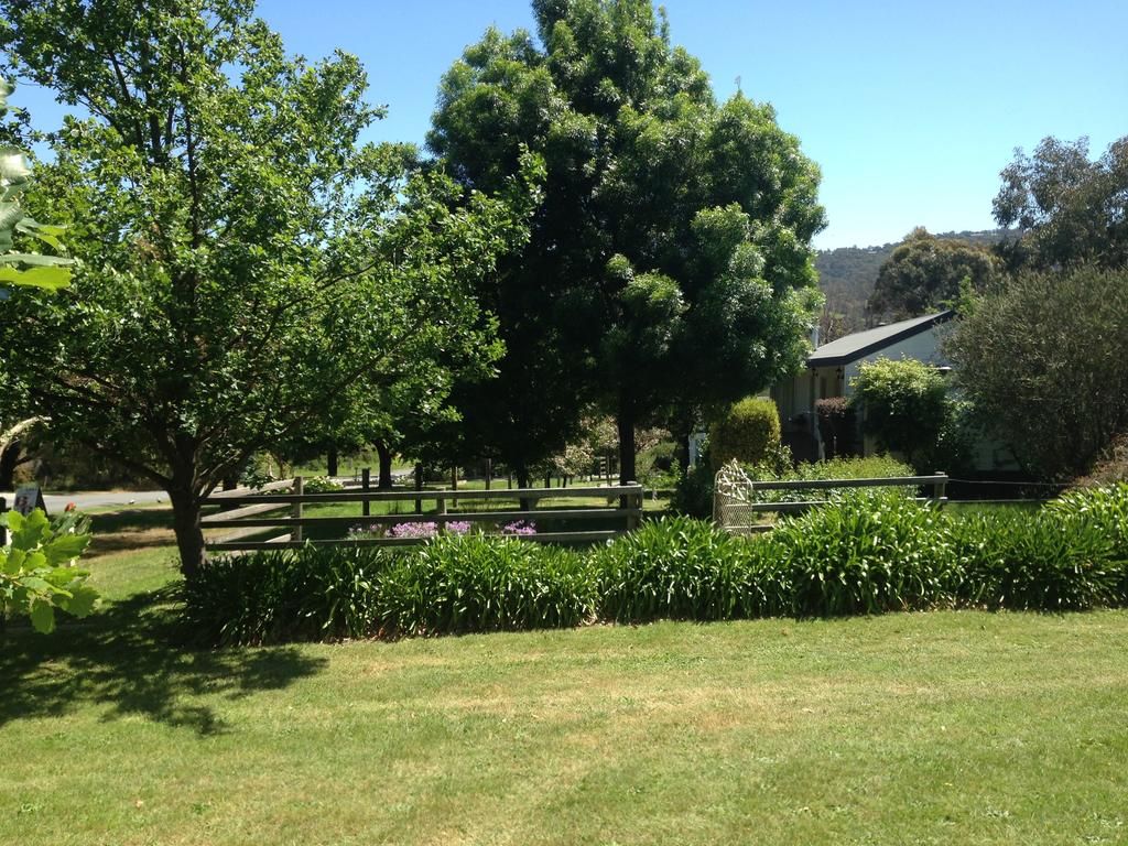 Yarra Glen Bed & Breakfast - thumb 3