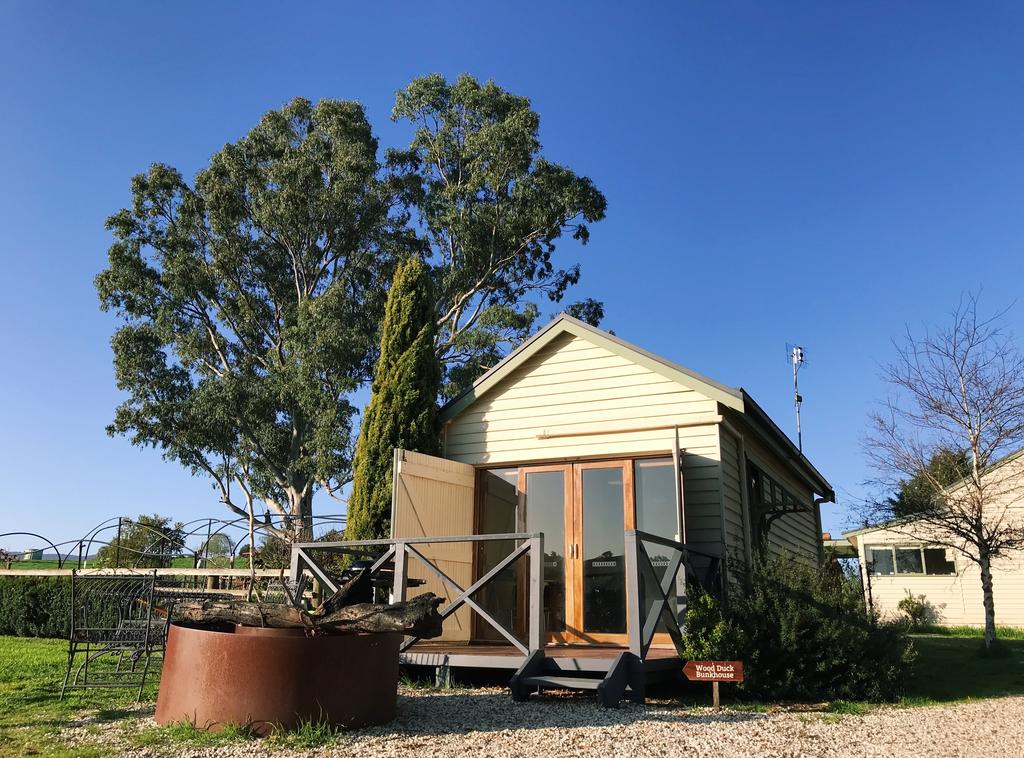 Yea Wood Duck Cabin - New South Wales Tourism 