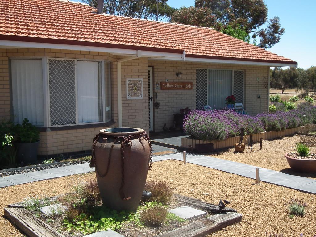 Yellow Gum Bed and Breakfast - New South Wales Tourism 