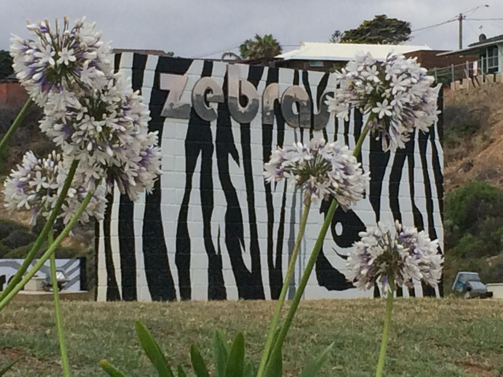Zebras Guest House Geraldton - Geraldton Accommodation 0