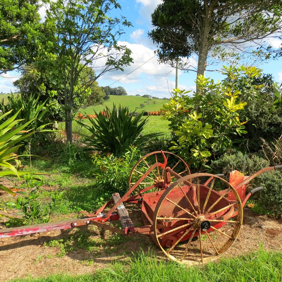 Maleny Springs Farm - thumb 37