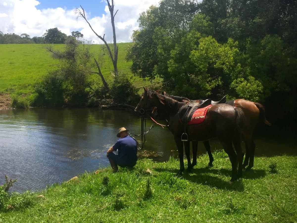 Maleny Springs Farm - thumb 36