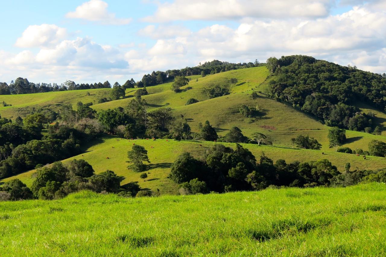 Maleny Springs Farm - Redcliffe Tourism